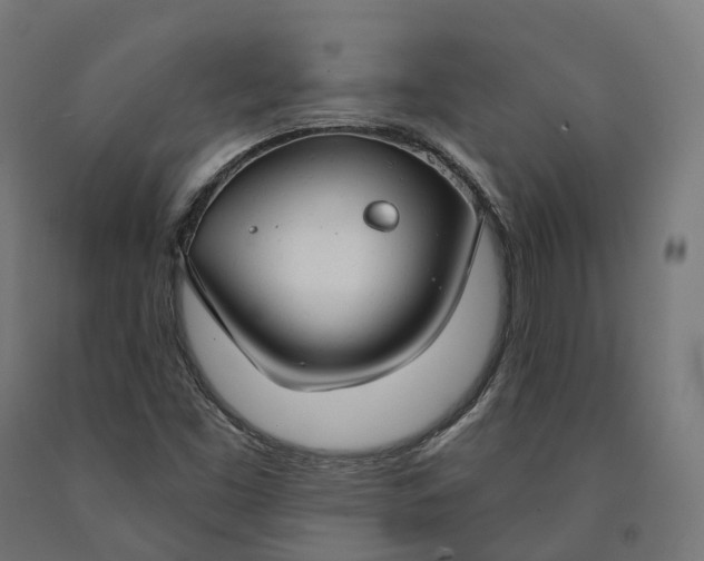 X0000090771453200708031642