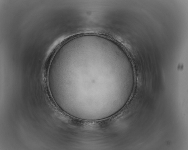 X0000090771454200708031642
