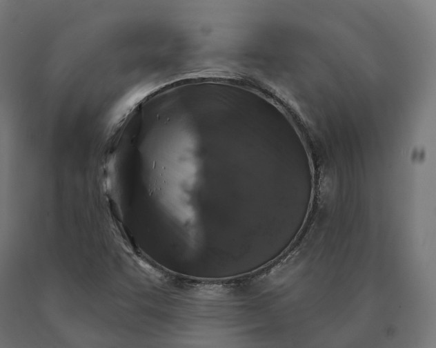 X0000090771455200708031642
