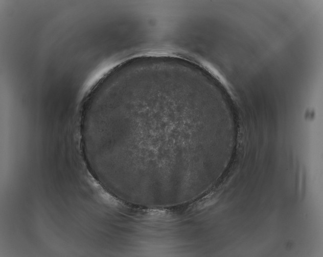 X0000090771456200708031642