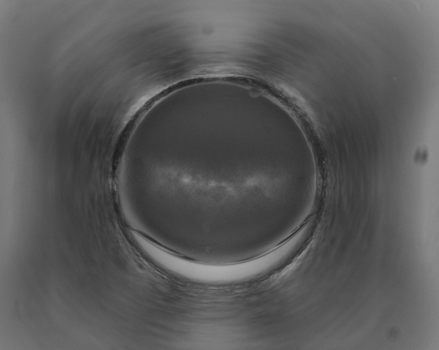 X0000090771457200708031642