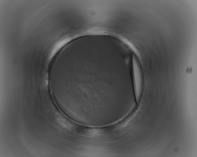 X0000090771461200708031642