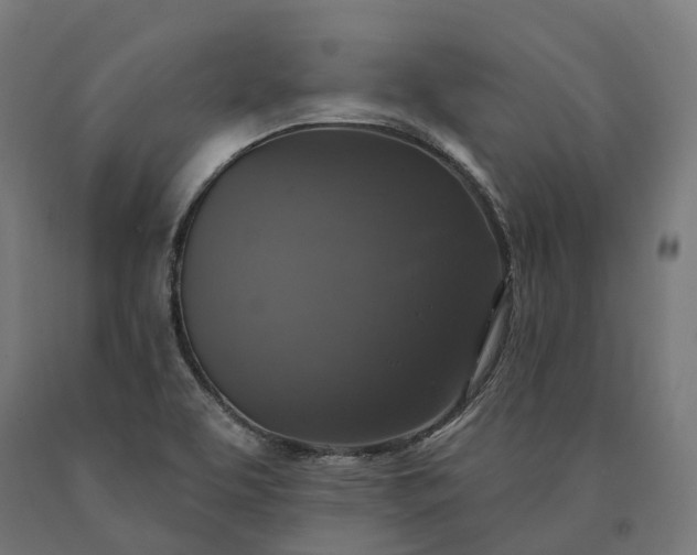 X0000090771463200708031642
