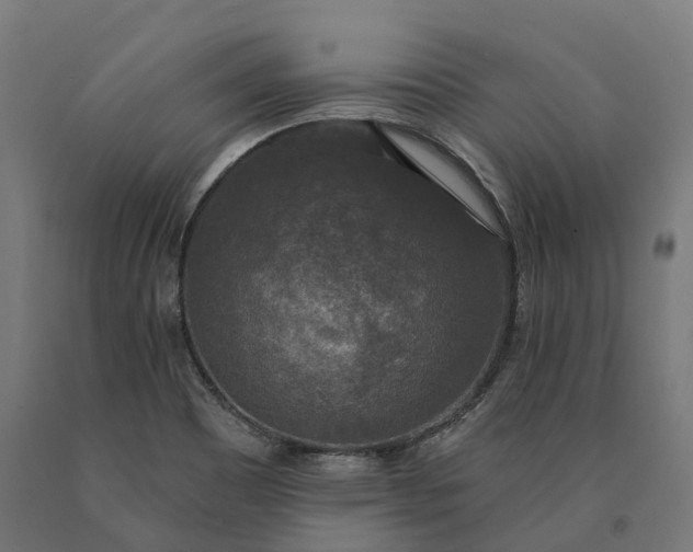 X0000090771465200708031642