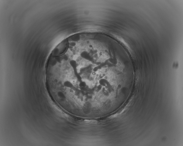 X0000090771467200708031642