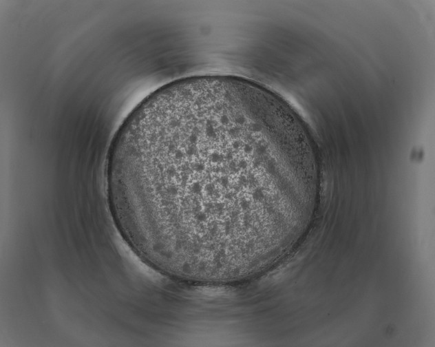 X0000090771468200708031642