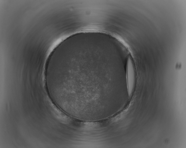 X0000090771469200708031642