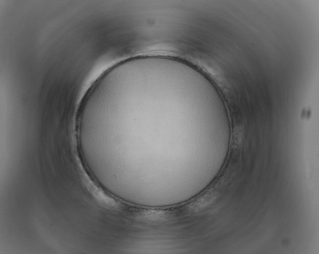 X0000090771470200708031642