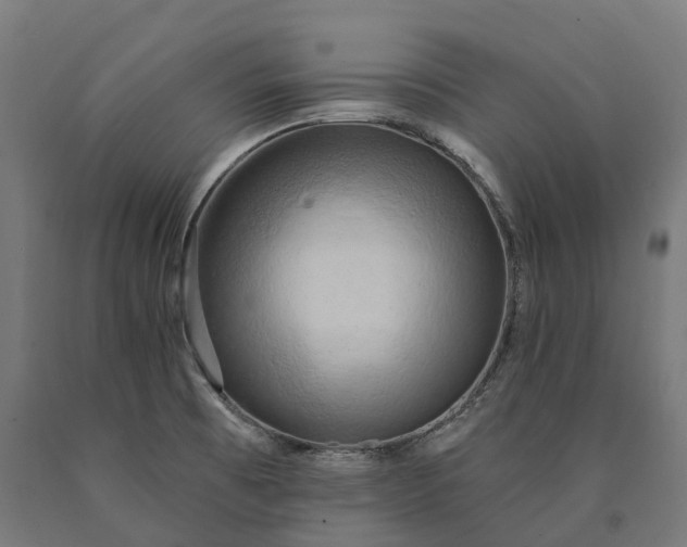 X0000090771473200708031641