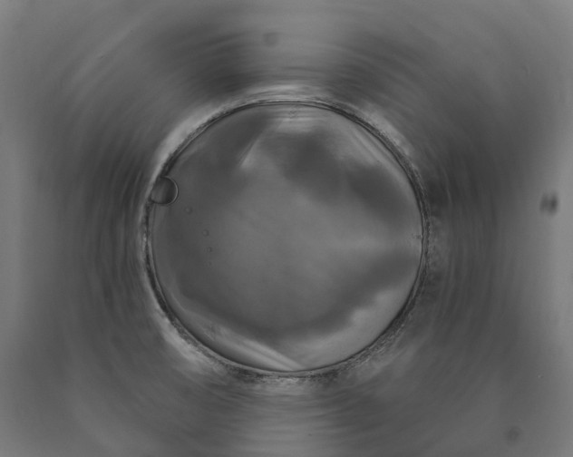 X0000090771474200708031641