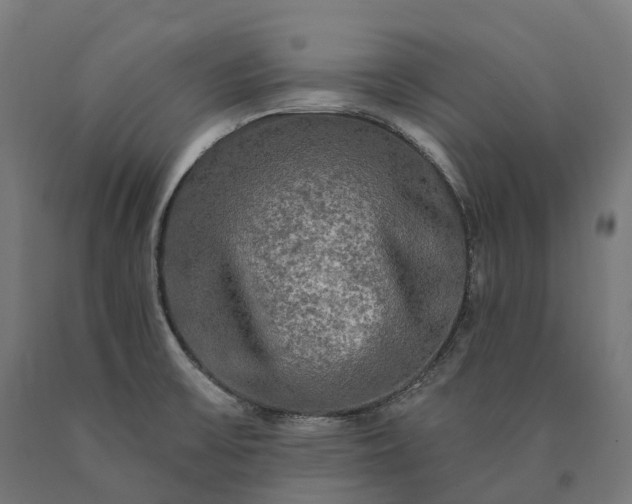 X0000090771475200708031641