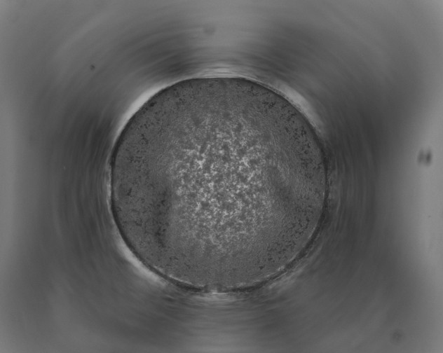 X0000090771476200708031641