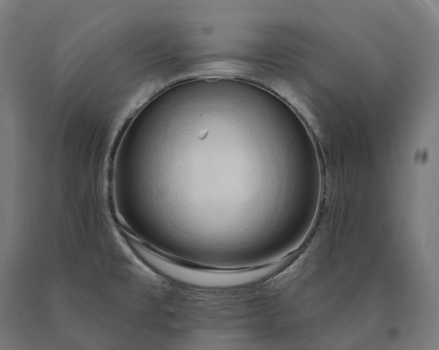 X0000090771477200708031641
