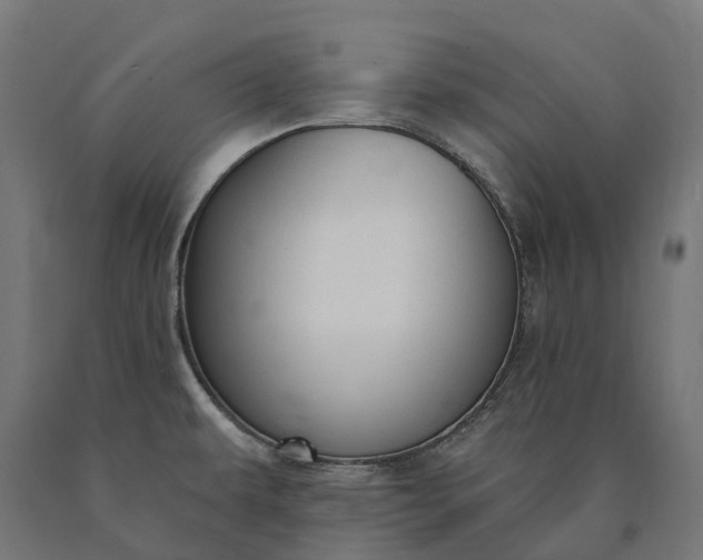 X0000090771479200708031641