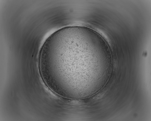 X0000090771480200708031641