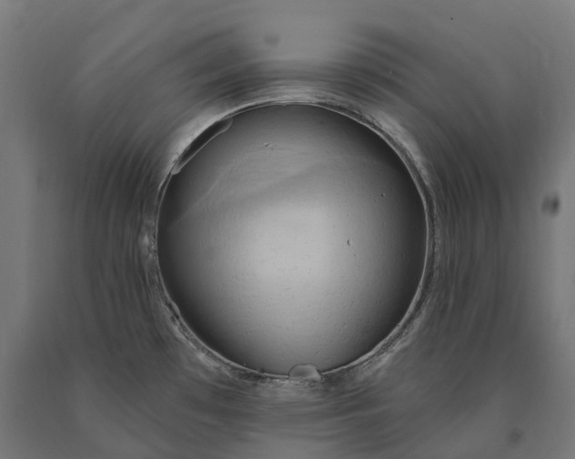 X0000090771481200708031641