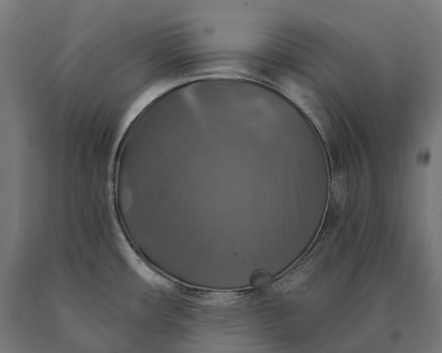 X0000090771482200708031641