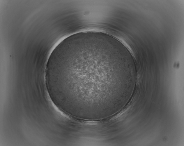 X0000090771484200708031641