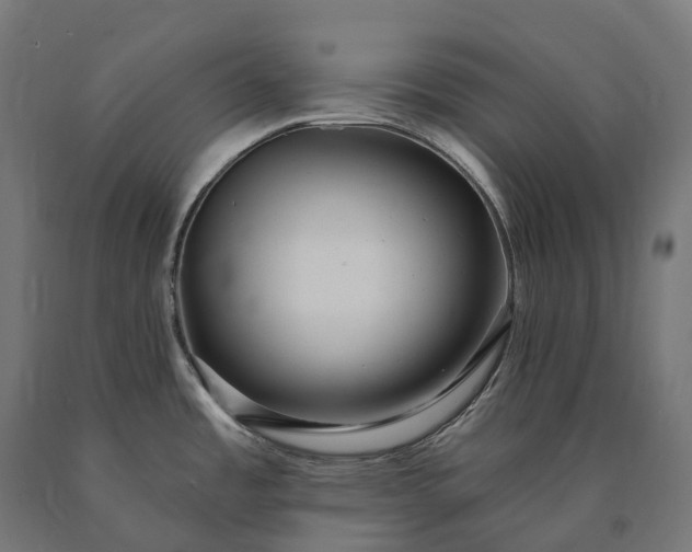 X0000090771485200708031641