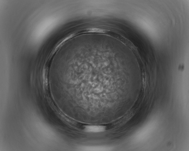 X0000090771487200708031641