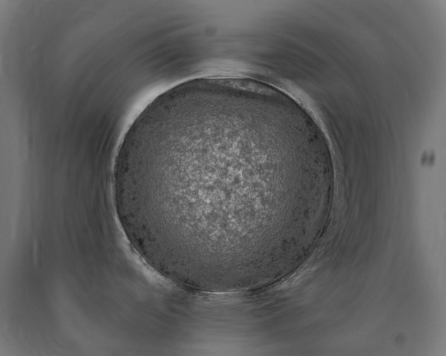 X0000090771488200708031641