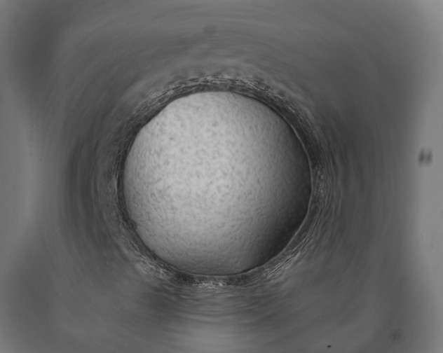 X0000090771489200708031641