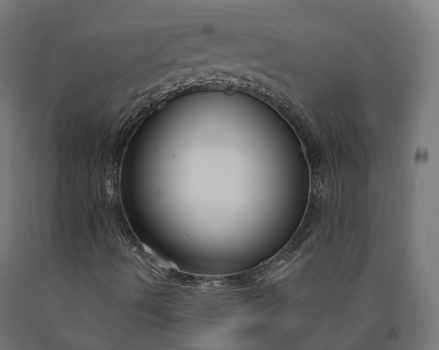 X0000090771490200708031641