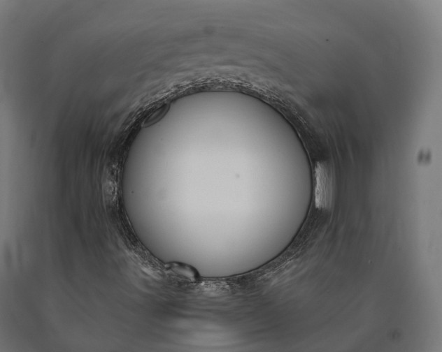 X0000090771491200708031641