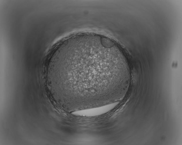 X0000090771494200708031641