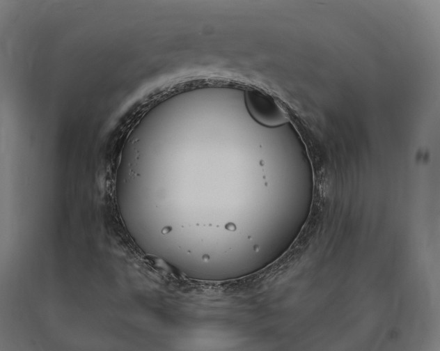 X0000090771495200708031641