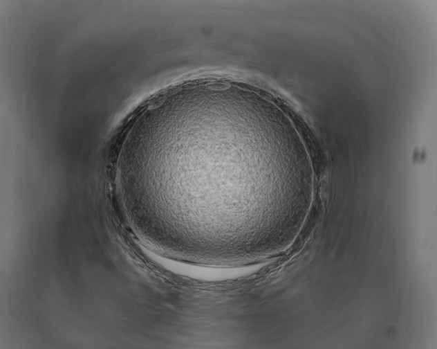 X0000090771496200708031641