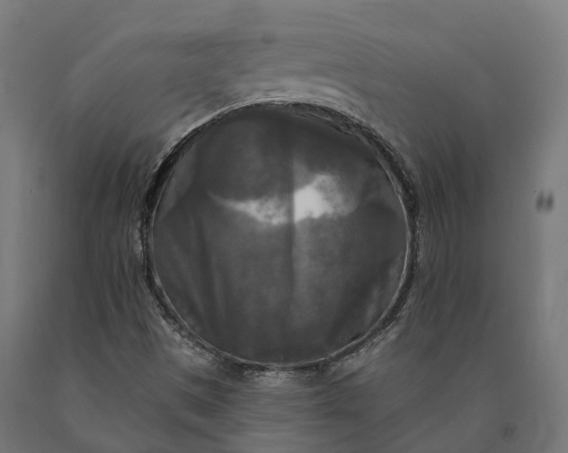 X0000090771497200708031641