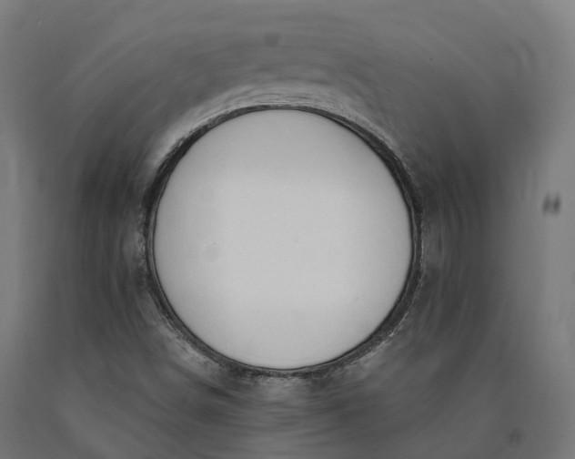 X0000090771498200708031641
