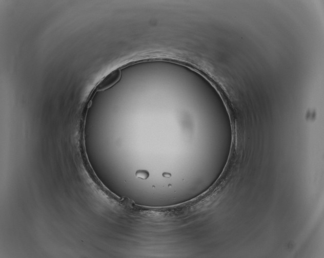 X0000090771500200708031641