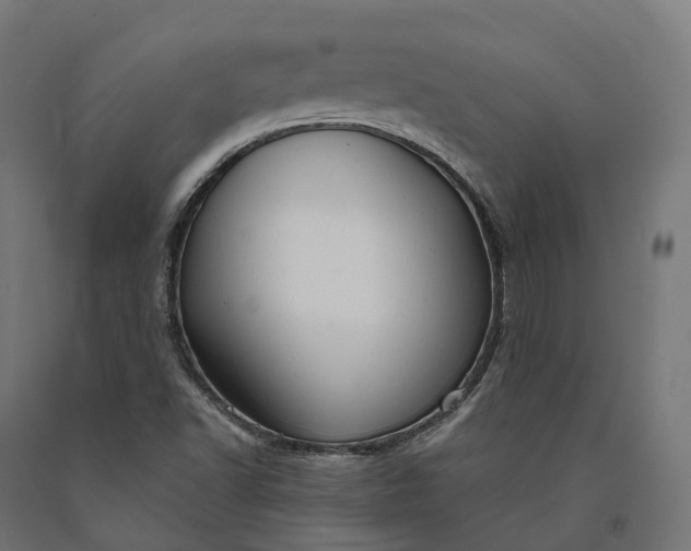 X0000090771502200708031641