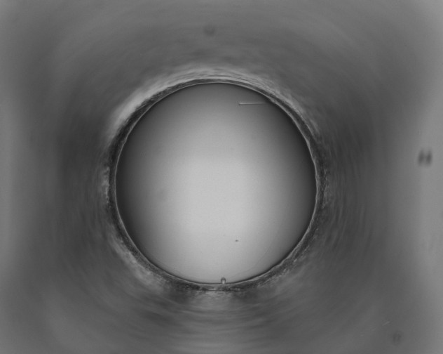 X0000090771503200708031641