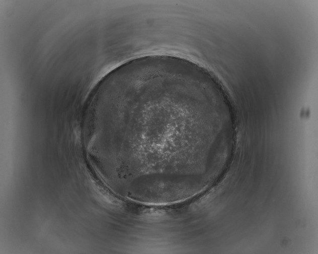 X0000090771505200708031641