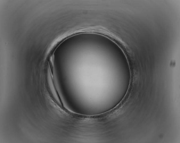 X0000090771506200708031641