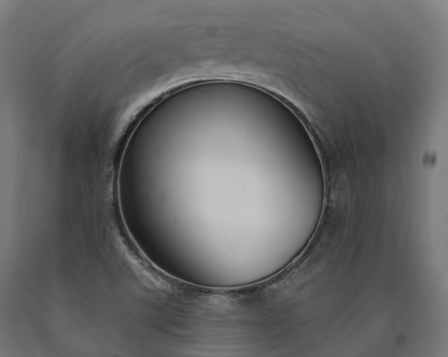 X0000090771507200708031641