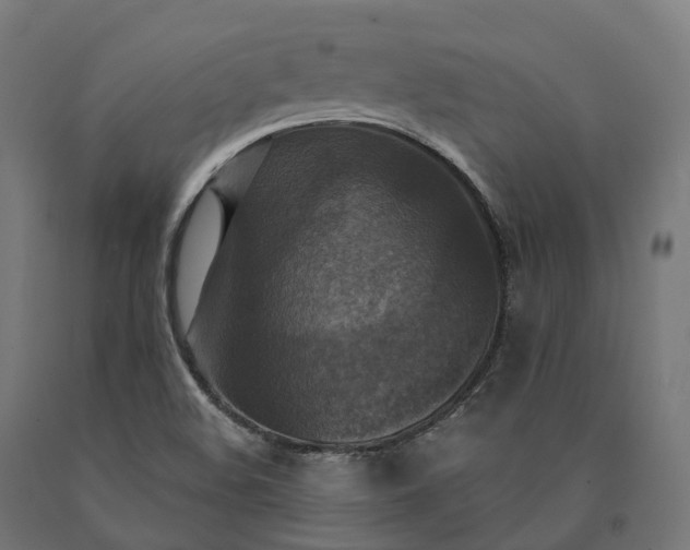 X0000090771508200708031641