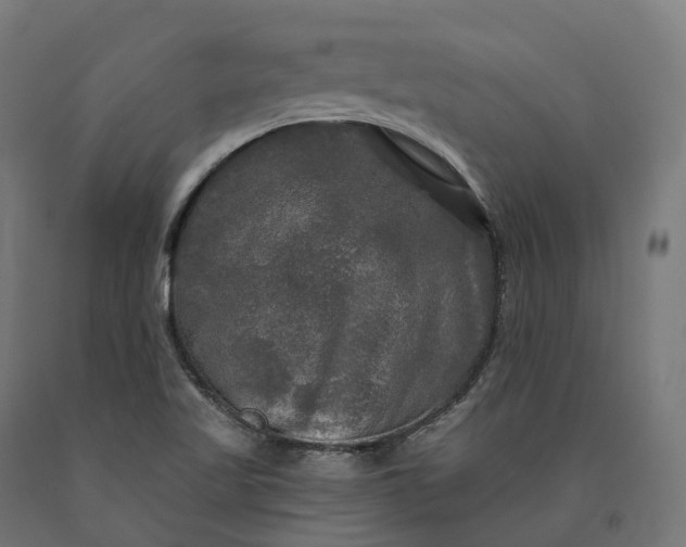 X0000090771509200708031641