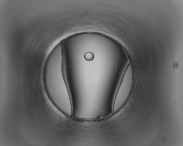 X0000090771518200708031641