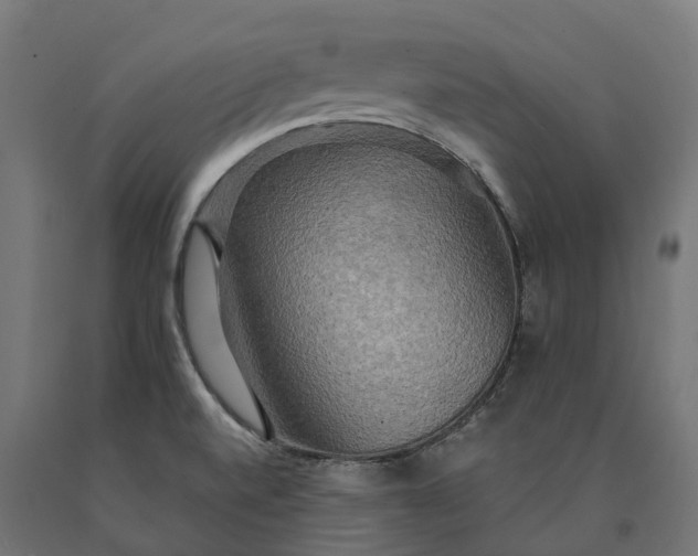 X0000090771520200708031641