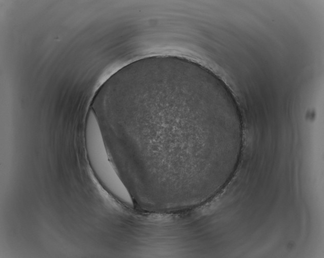 X0000090771521200708031641