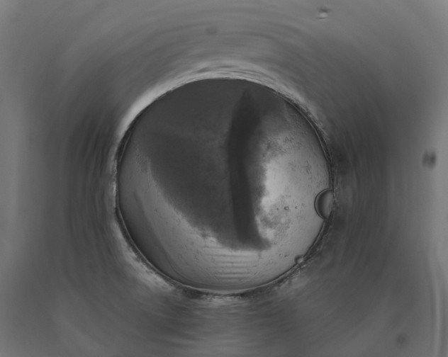 X0000090771522200708031641