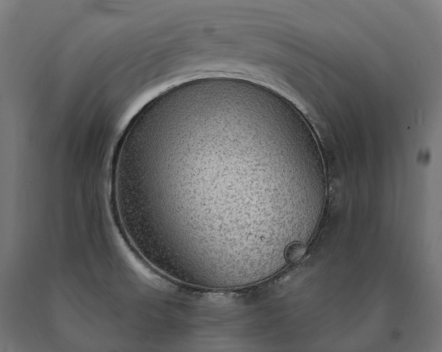 X0000090771523200708031641