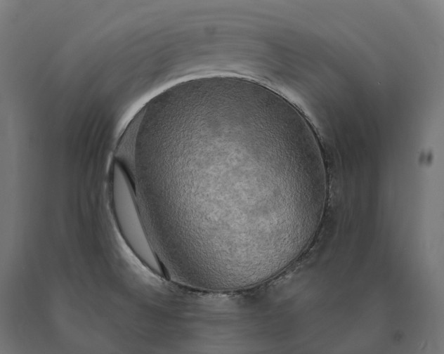X0000090771524200708031641