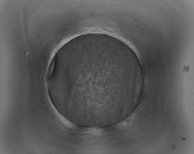 X0000090771525200708031641