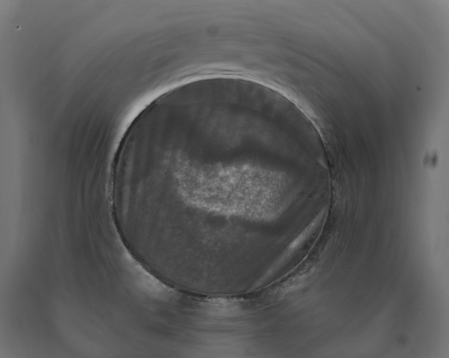 X0000090771527200708031641