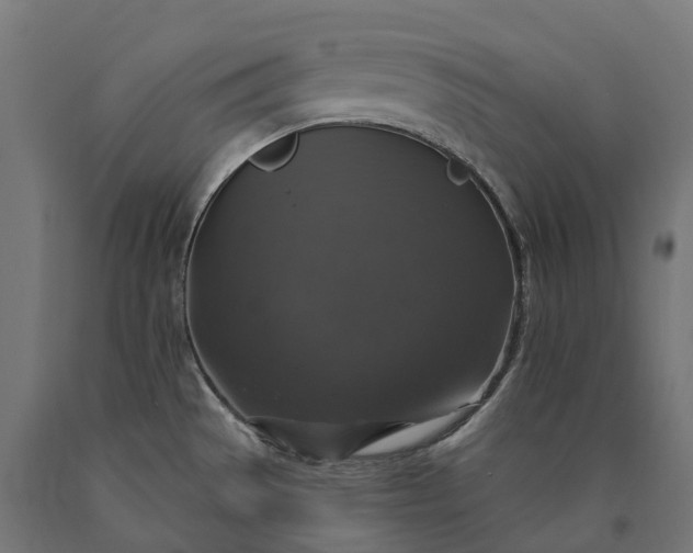 X0000090771529200708031641